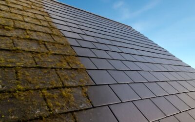 Top Local Experts for Reliable Slate Roof Cleaning Near Me – Refresh and Protect Your Home
